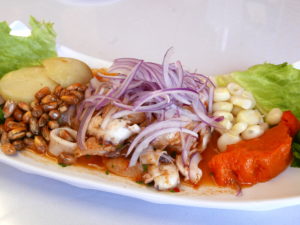Peruvian Food Van Nuys